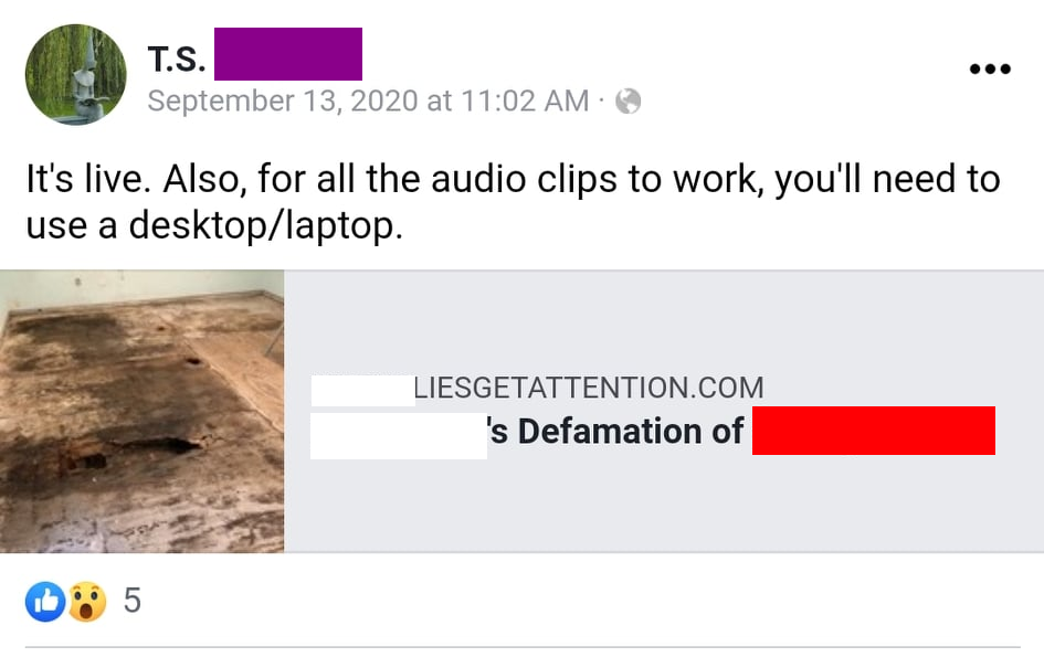 T.S. [Redacted] Facebook post: "It's live. Also, for all the audio clips to work, you'll need to use a desktop/laptop." Link to [victim]'s lies get attention dot com, accusing them by name of defaming T.S.'s partner, which T.S. also names