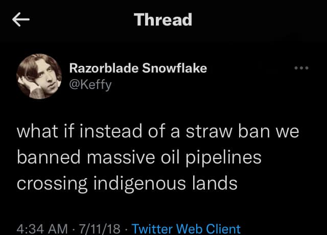 Twitter Razorblade Snowflake @Keffy what if instead of a straw ban we banned massive oil pipelines crossing indigenous lands