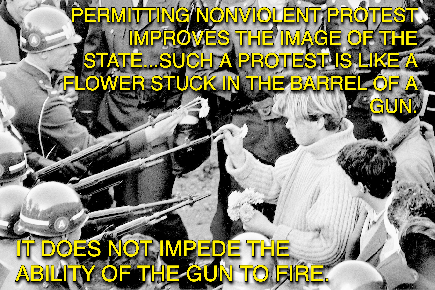 Text: "Permitting nonviolent protest improves the image of the state...Such a protest is like a flower stuck in the barrel of a gun. It does not impede the ability of the gun to fire." Image from 1967 of a Vietnam War protester placing a carnation into the barrel of an M14 rifle held by a soldier of the 503rd Military Police Battalion.