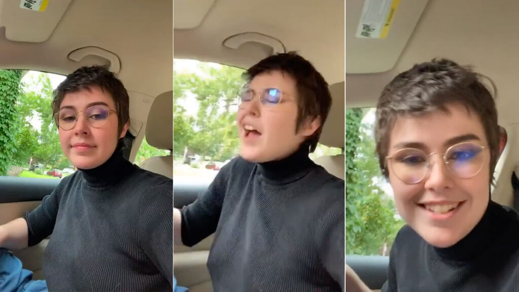 In September 2020, TikToker @w_hole published the original video rant. Shot from inside a car, the video features a person addressing the camera and getting progressively more sarcastic and angry as they rant about voting. 